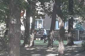 Zloupotreba javne česme u Zelengorskoj ulici na Paliću
