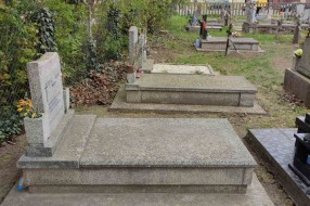 Neodržavanje groblja u Aleksadrovu