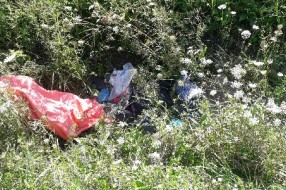 Smeće u kanalima, smrad se širi, nepodnošljivo je... (Srpski šor)
