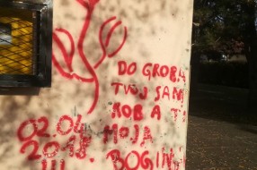 Užasan izgled vrtića u Malom Bajmoku