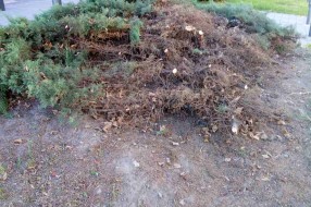 Ruski rulet kod "Džumandžija"