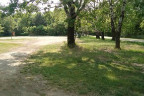 Lutalice u Vikend naselju na Paliću