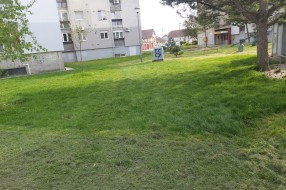 "Košenje" trave na Karađorđevom putu