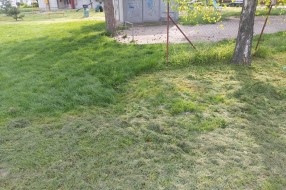 "Košenje" trave na Karađorđevom putu