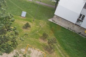 "Košenje" trave na Karađorđevom putu