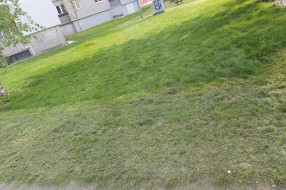 "Košenje" trave na Karađorđevom putu
