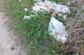 Smeće na letnjem putu koji ide prema Industrijskoj zoni
