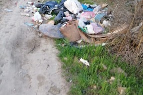 Smeće na letnjem putu koji ide prema Industrijskoj zoni