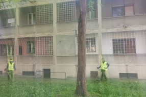 Nedovoljno učestalo održavanje zelene površine (Ulice Evgenija Kumičića i Sonje Marinković)