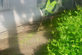 Nedovoljno učestalo održavanje zelene površine (Ulice Evgenija Kumičića i Sonje Marinković)