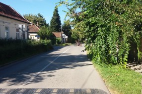 Potrebno orezivanje drveća na raskrsnici ulica Šantićeve i Save Kovačevića
