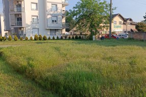 Zarasla trava i korov na placu u Kireškoj ulici