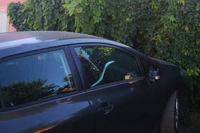 Zapuštena kuća u ulici Matije Gupca