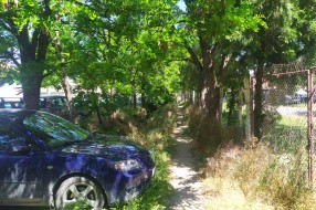 Nepokošena trava na Sivačkom putu