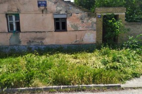 Nepokošena trava na Sivačkom putu
