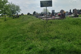Trava guta groblje u Mišićevu