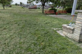 Trava guta groblje u Mišićevu