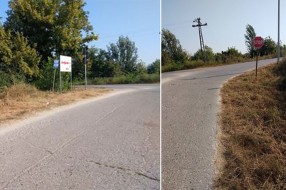 Ambrozija u ulici Marka Oreškovića na Paliću
