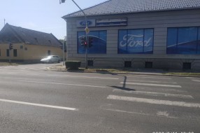 Rastinje na pešačkoj stazi na Beogradskom putu