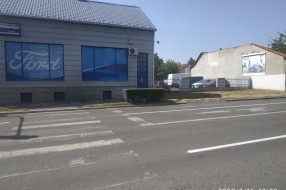 Rastinje na pešačkoj stazi na Beogradskom putu