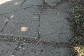 Razbijeni beton trotoara iza samoposluge u Malom Bajmoku