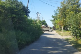 Verušićka ulica zarasla u šiblje i drugo rastinje, nepregledna i opasna za saobraćaj