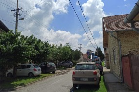 Strujne žice u krošnji (Zadarska i Skerlićeva ulica)