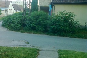 Neuredna zelena površina na raskrsnici ulica Božidara Adžije i Masarikove