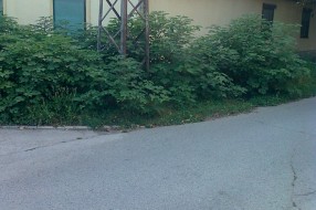 Neuredna zelena površina na raskrsnici ulica Božidara Adžije i Masarikove