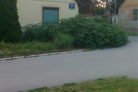 Neuredna zelena površina na raskrsnici ulica Božidara Adžije i Masarikove