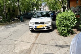 Parkiranje preko puta "Šrafka" na pešačku stazu