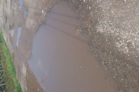 Ulica Radoja Vujoševića