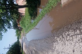 Ulica Radoja Vujoševića