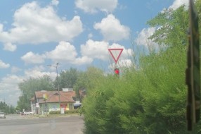 Zaklonjen semafor na raskrsnici ulica Đorđa Natoševića i Segedinskog puta