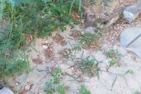 Nezavršeni radovi na parkingu kod Maksija na Prozivci