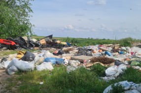 Deponija na putu za Tavankut