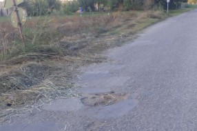Udarne rupe u Gornjem Tavankutu (ulica Bisni kraj)
