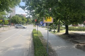 Grane zaklanjaju znak "Škola" (Prozivka)