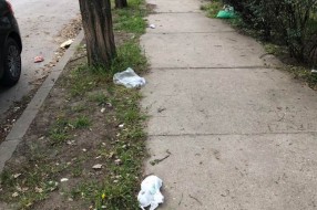 Dugotrajno nagomilavanje smeća u naselju