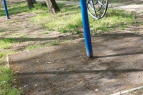 Trim staza u Dudovoj šumi