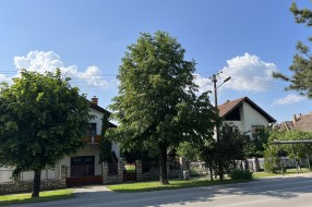 Strujne žice u krošnji (Pačirski put)