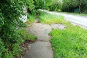 Ulica 26. Nova u Donjem Tavankutu - problem sa visokom travom i psima