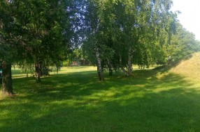 Visoka trava u parku na Bikovu