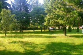 Visoka trava u parku na Bikovu