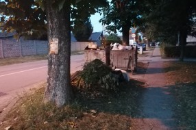 Kontejner u koji se baca smeće - "u prolazu" (ulica Nikole Tesle)