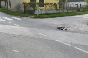 Udarna rupa u Dubrovačkoj ulici