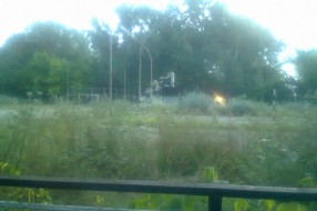 Zapušten sportski teren "Janko Pejanović" na Paliću