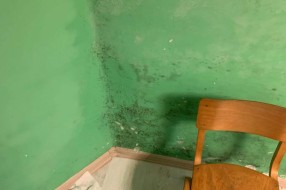 Vlaga i buđ u vrtiću