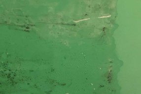 Vlaga i buđ u vrtiću