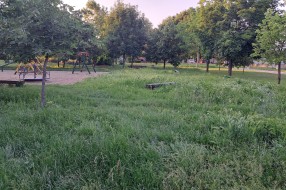 Drveno igralište u Aleksandrovu zaraslo u travu